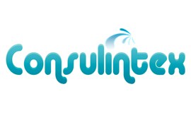 logo_consulintex1